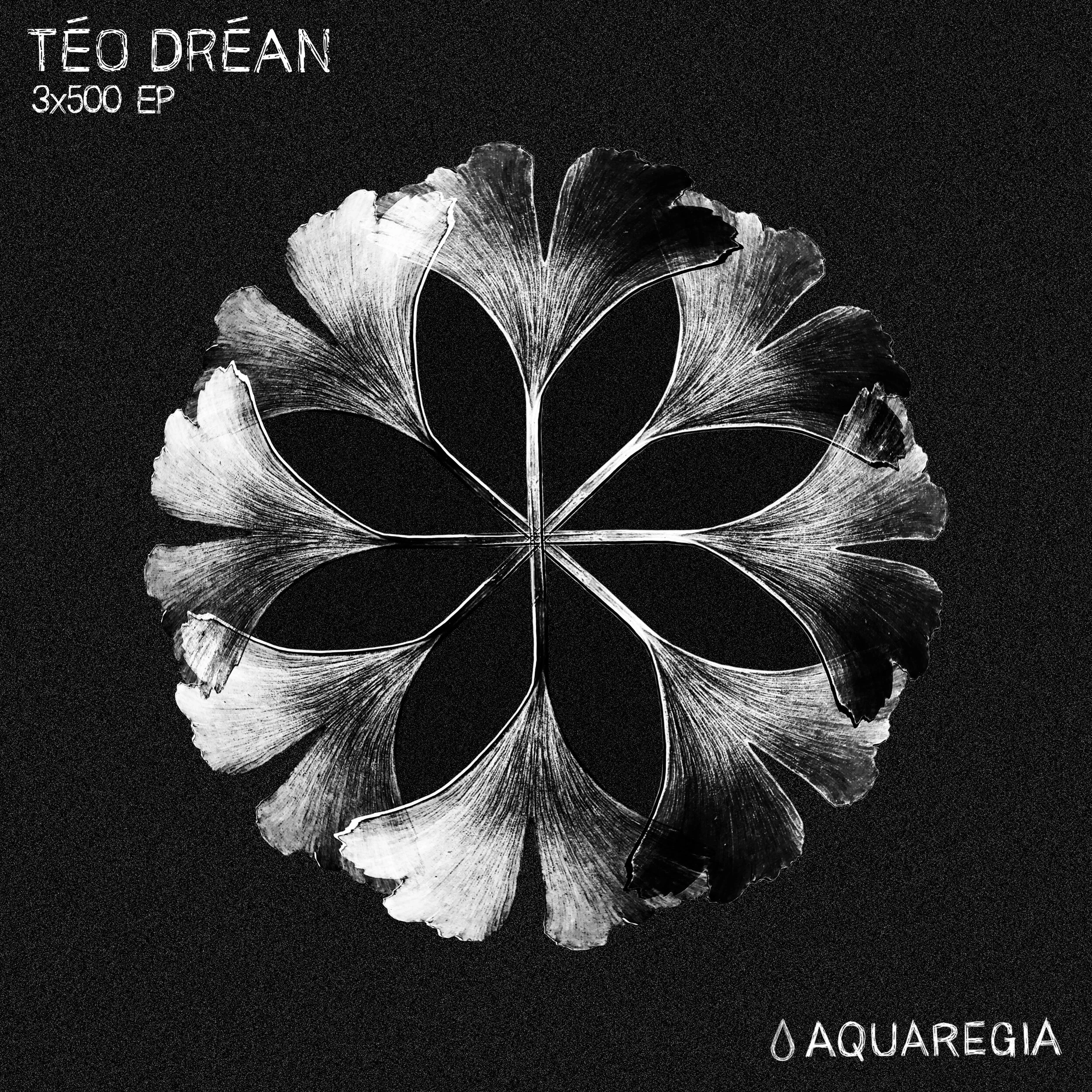 Téo Dréan - 3x500 EP [AQR016]