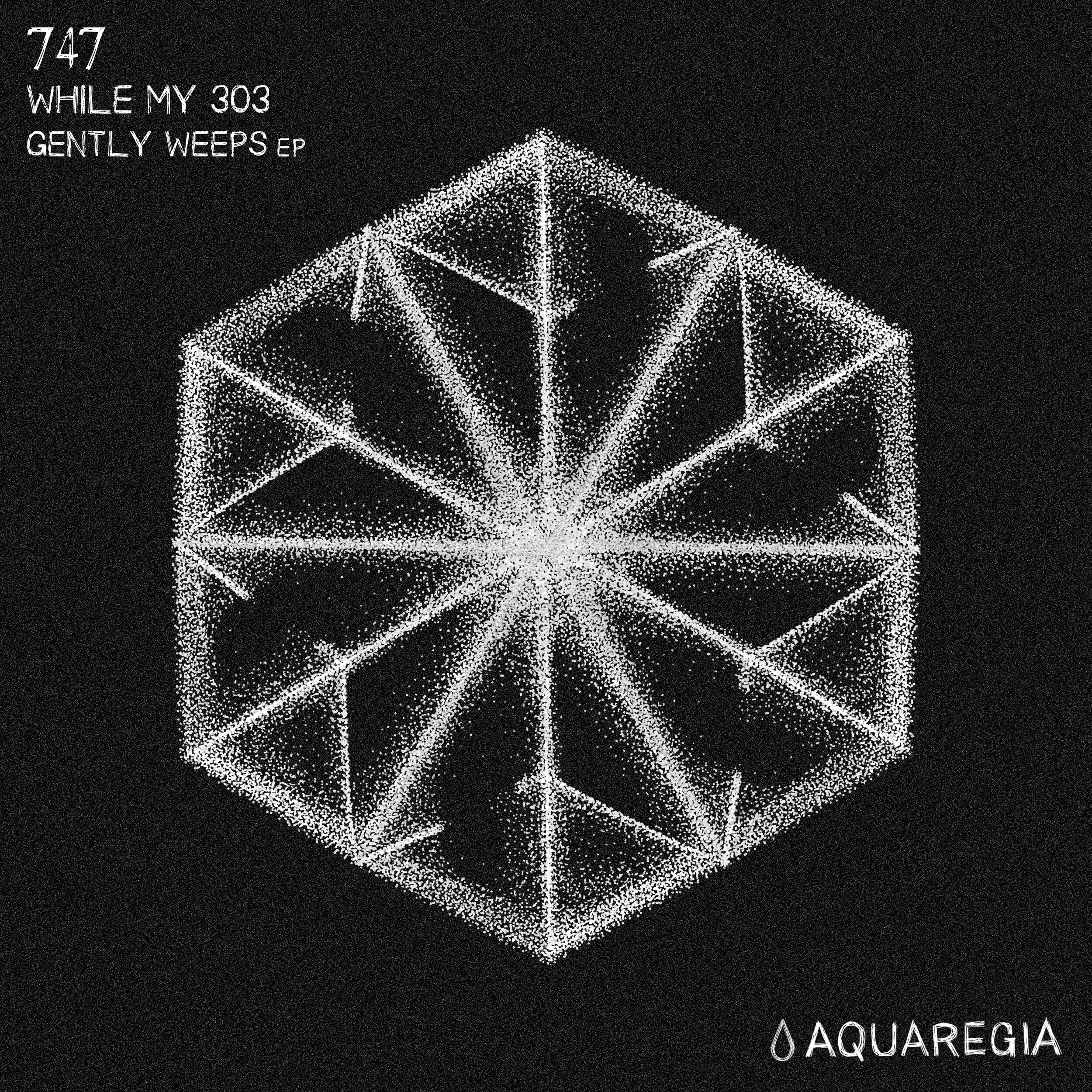 747 - While My 303 Gently Weeps EP [AQR017]