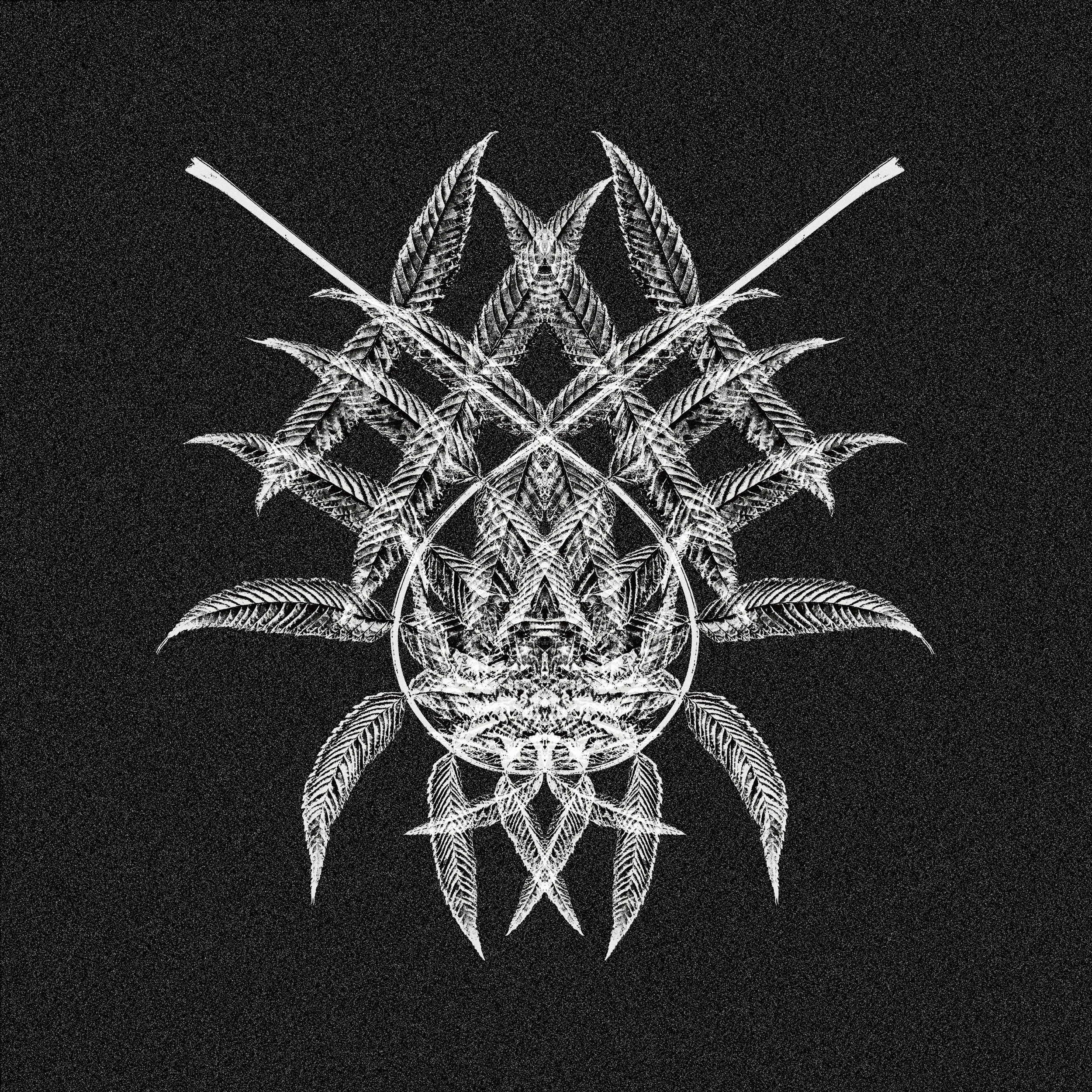 Nicola Dal Sacco - Wirrwarr EP [AQR020]