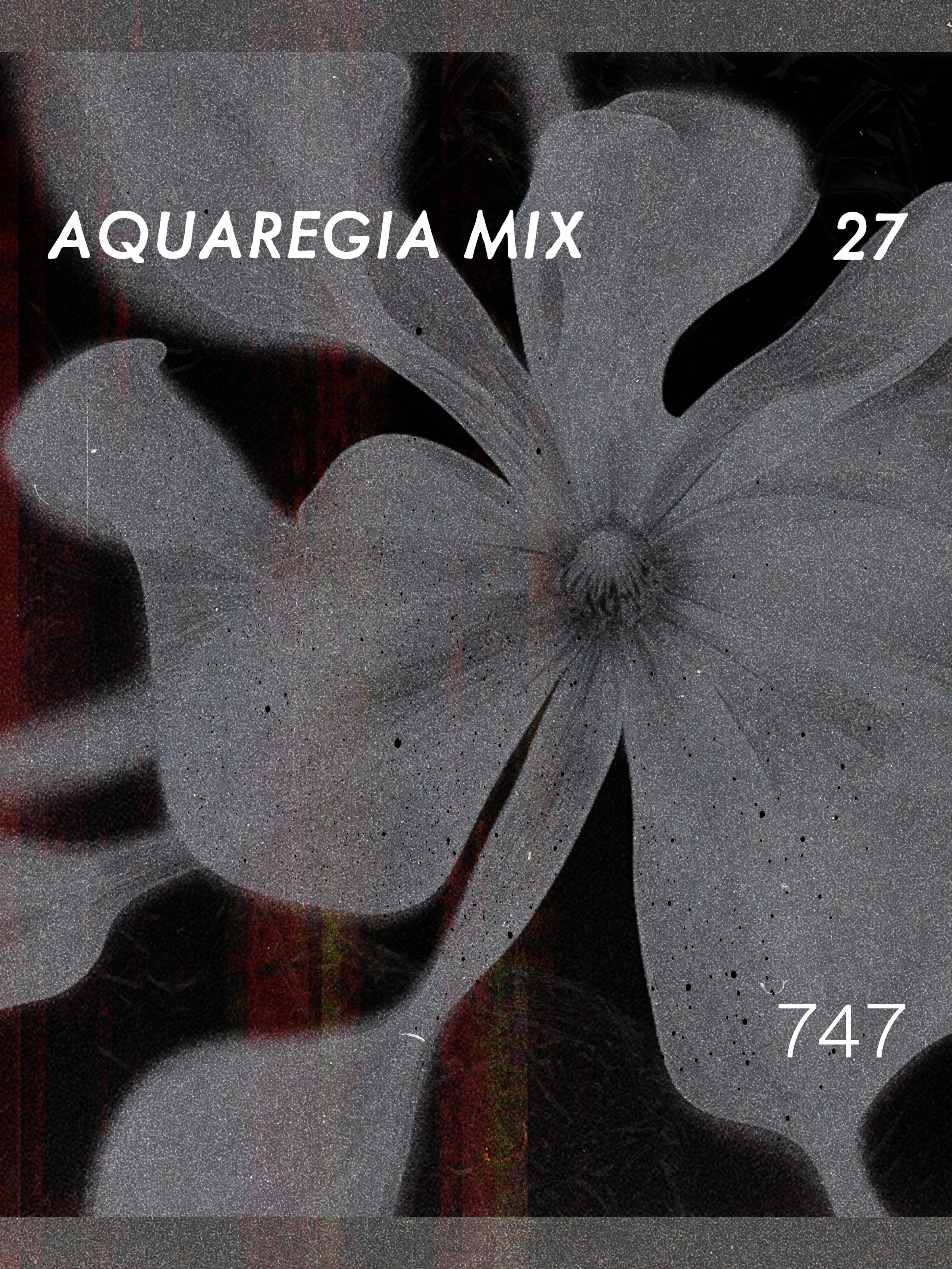 Aquaregia Mix 27:747