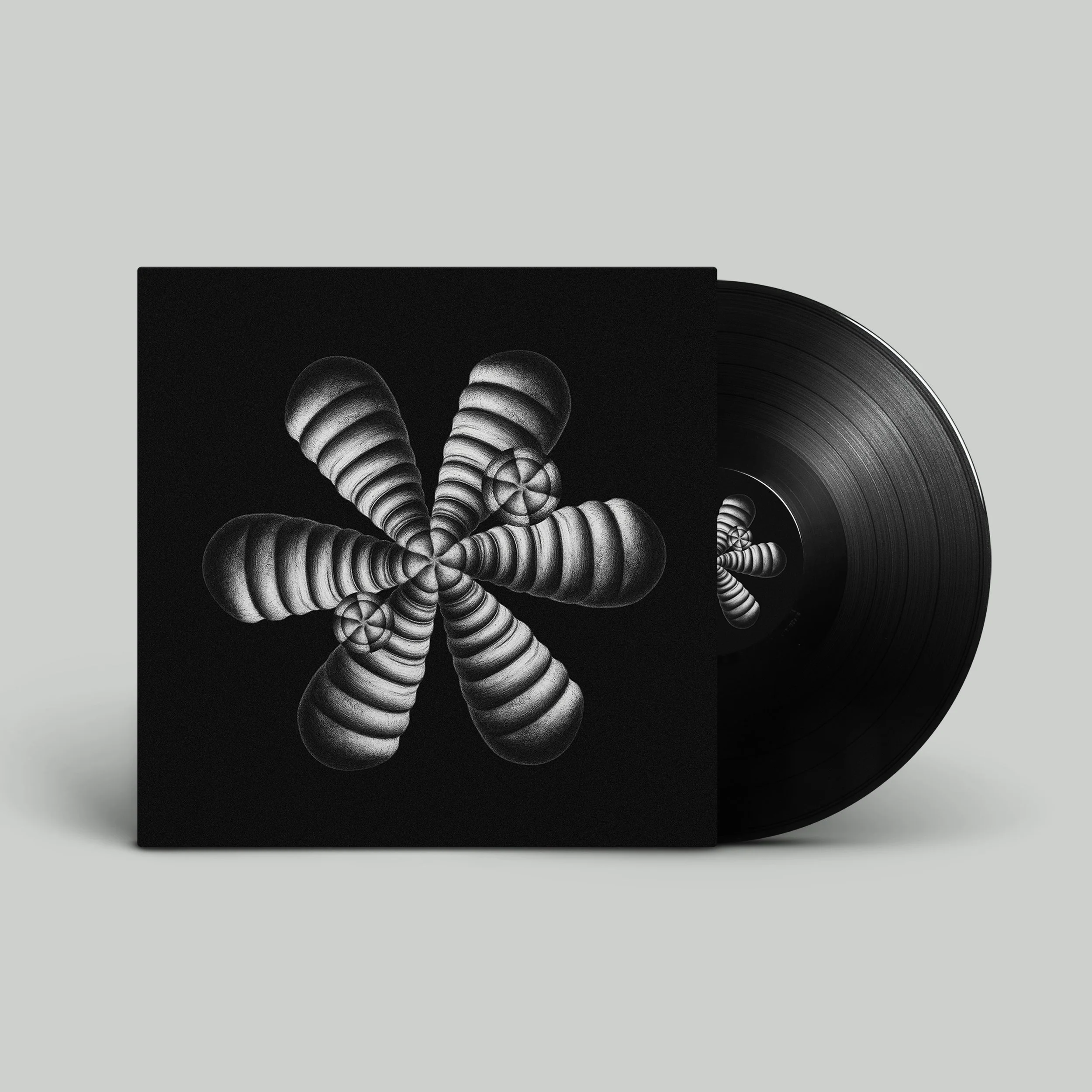 AQR029 - vinyl mockup square.jpg