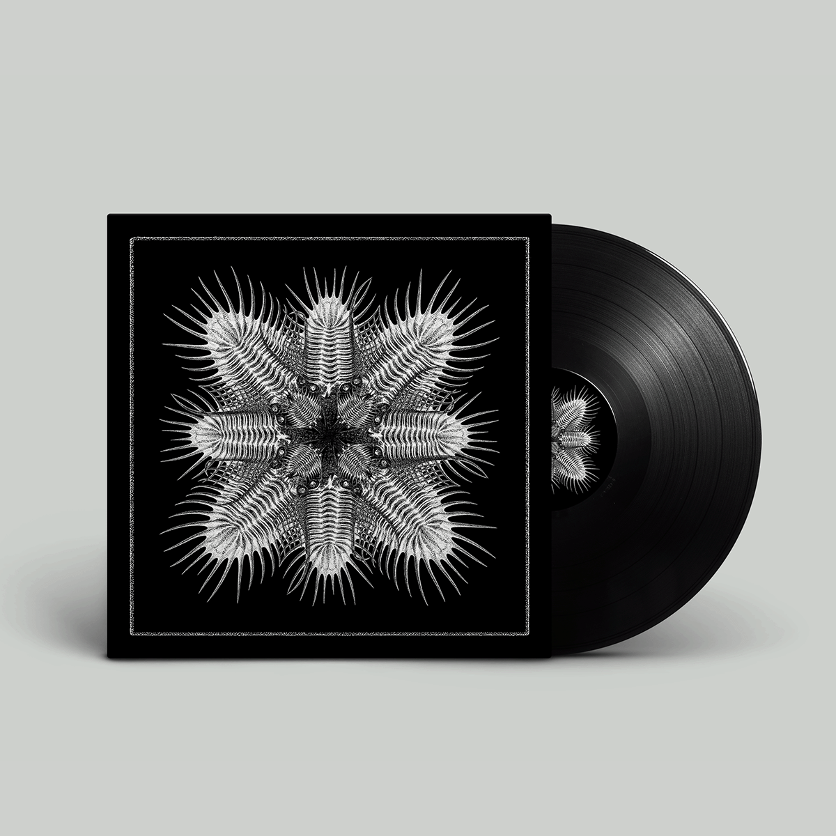 Various Artists - 10 (12" Vinyl) [Pre-order]