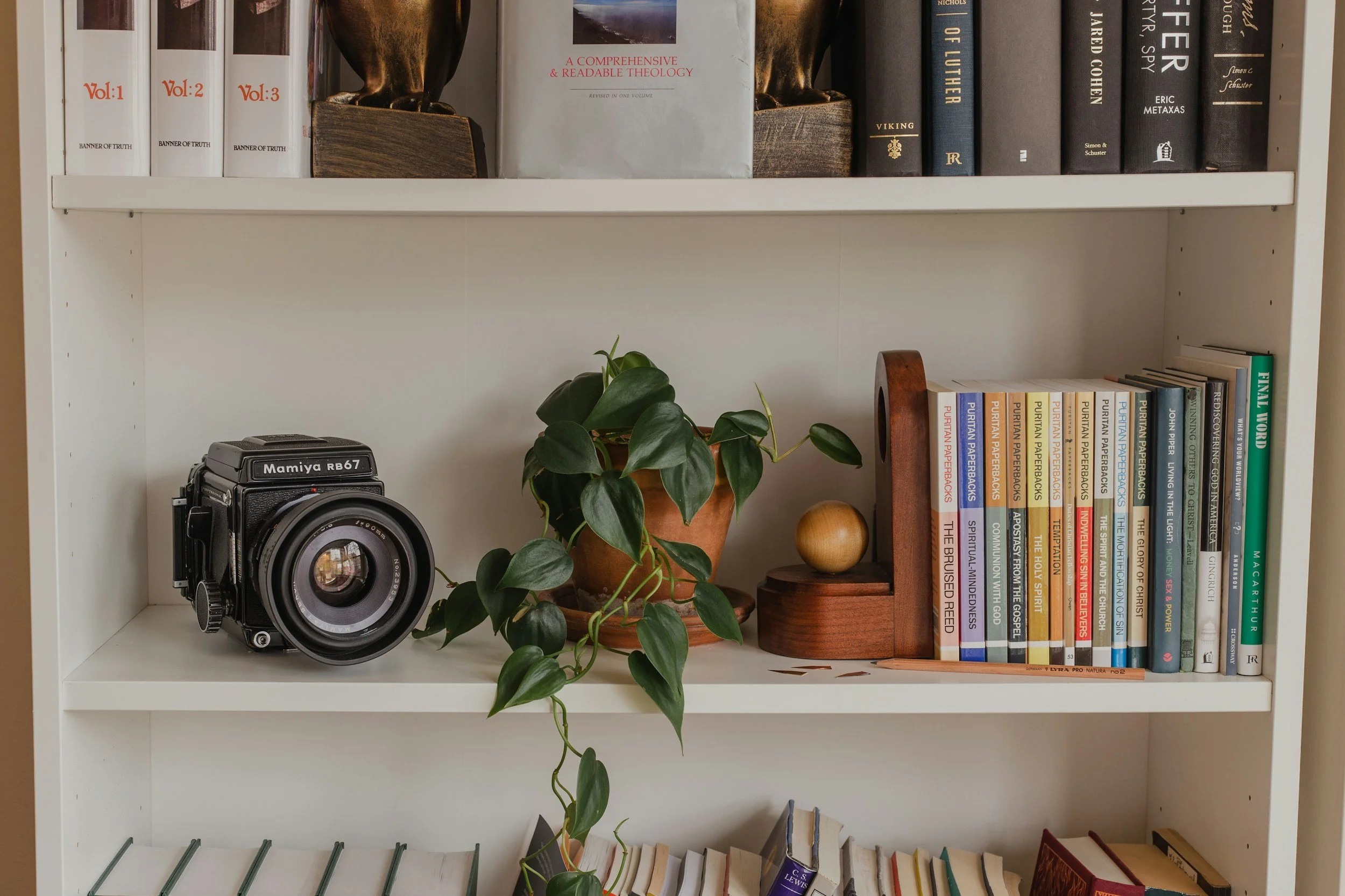 A bookshelf contains several hardcover books, a vintage camera, potted plant, small wooden sculpture, and decorative objects.