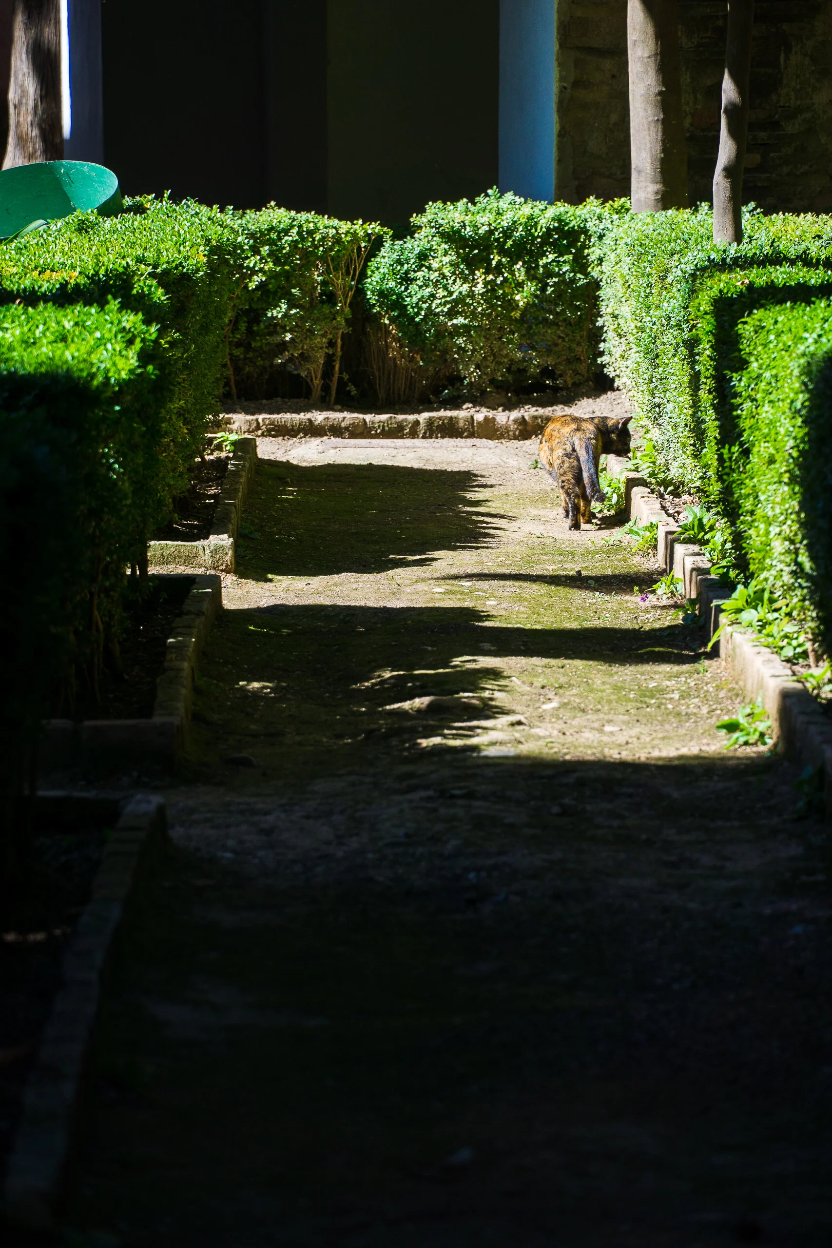 DSC03594.jpg