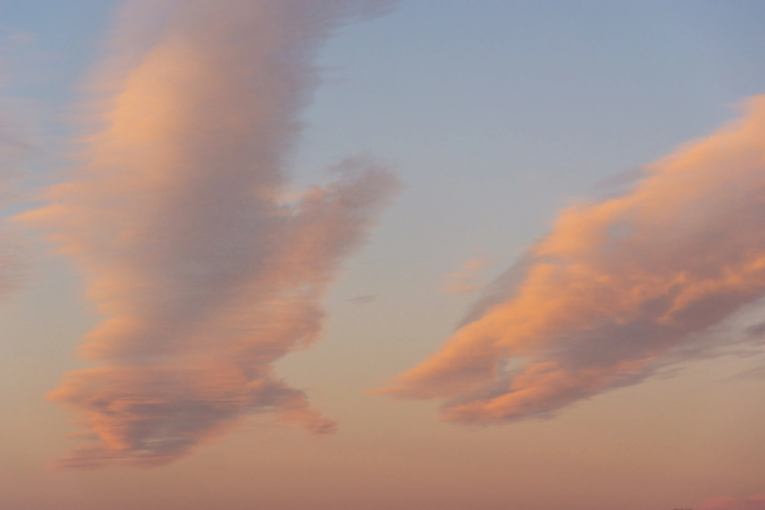 DSC07750.jpg