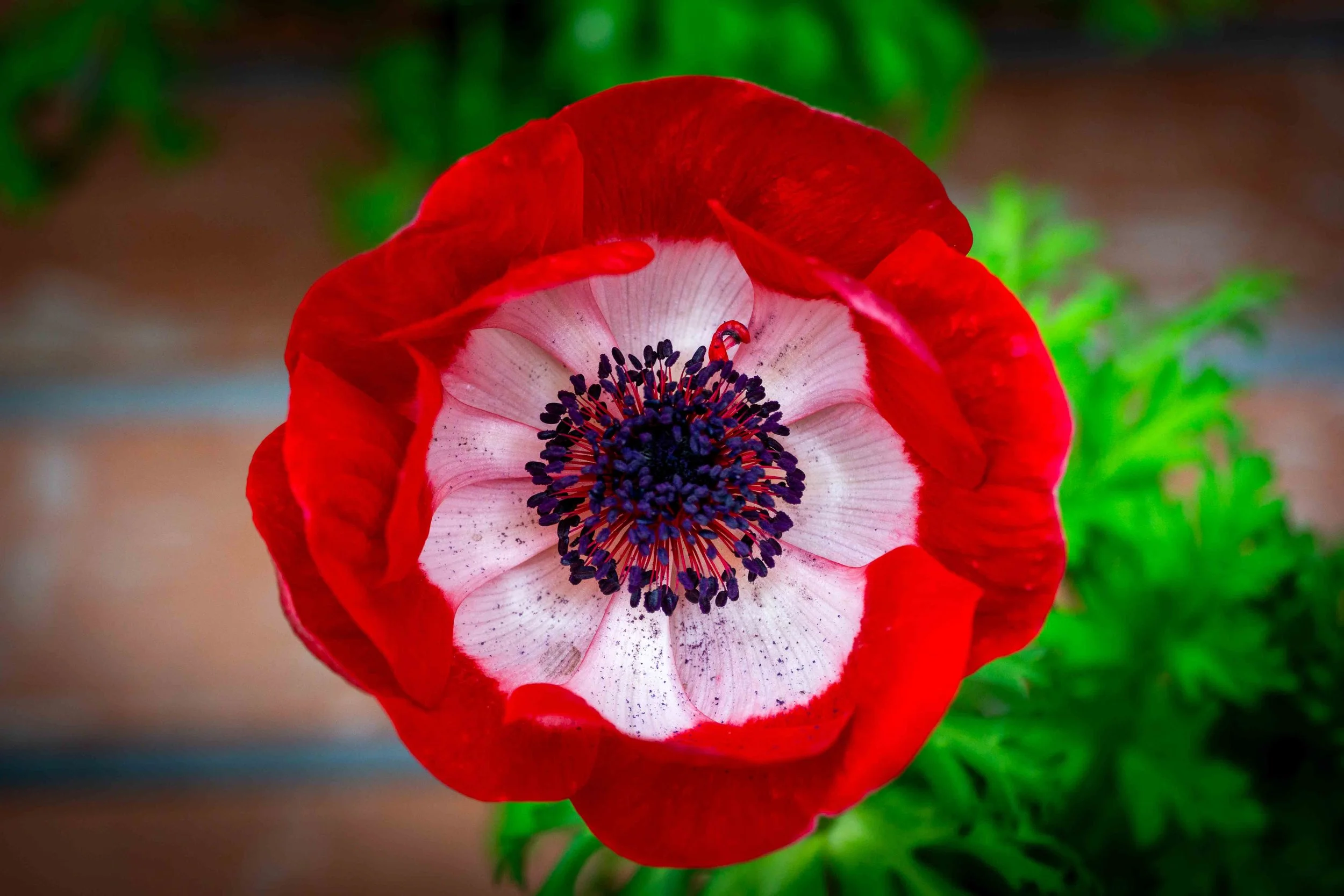 20120240324-DSC03657.jpg