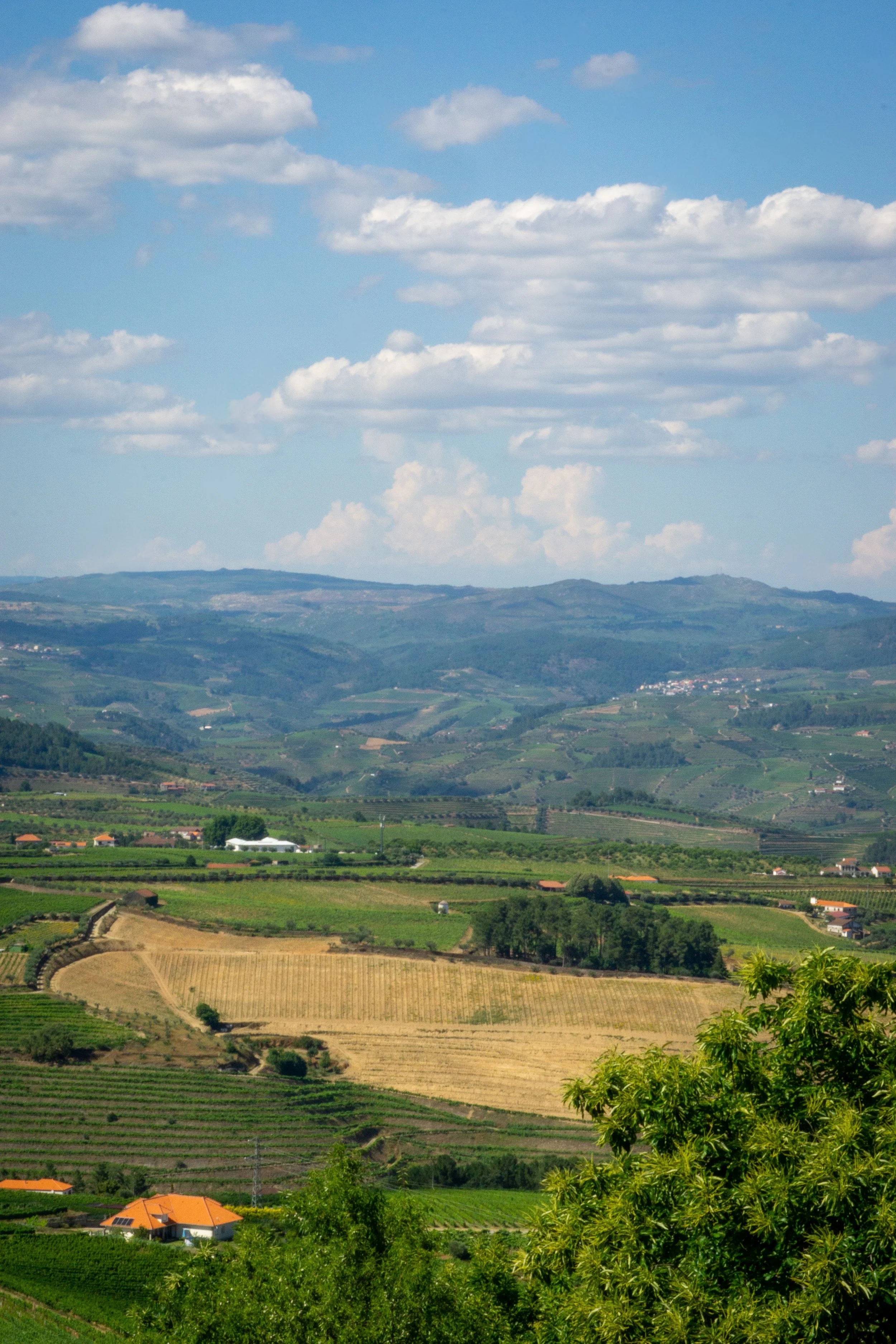 130-20240624-DSC04433.jpg