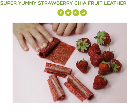 Super Healthy Kids, Strawberry Chia Fruit Leather