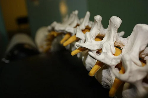 Get your spine together. Image via Flickr. Used under CC BY-SA 2.0