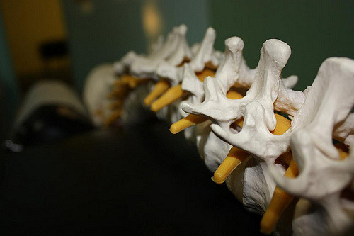 Get your spine together. Image via Flickr . Used under CC BY-SA 2.0