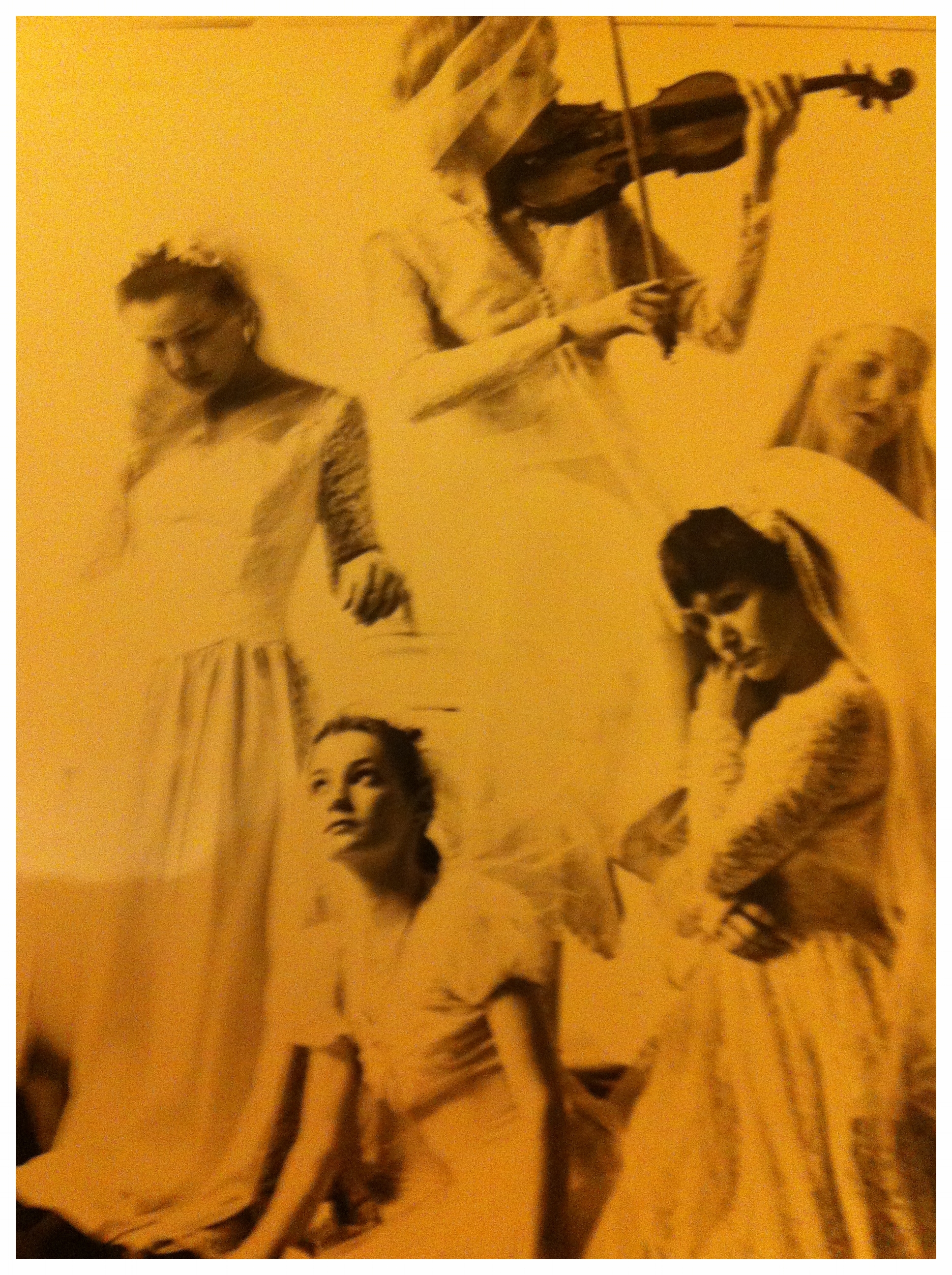 THE BRIDES in concert.JPG