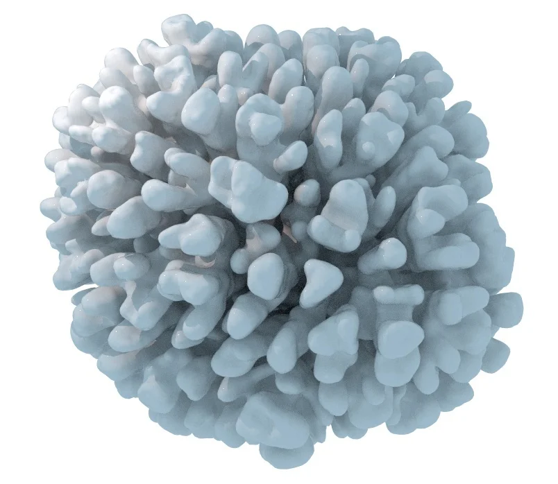 An exploration into modeling a natural phenomena in Houdini.