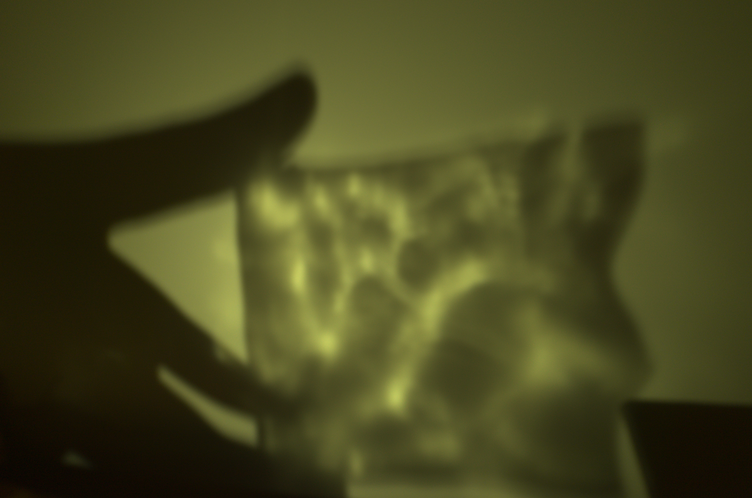 DSC_3486.png
