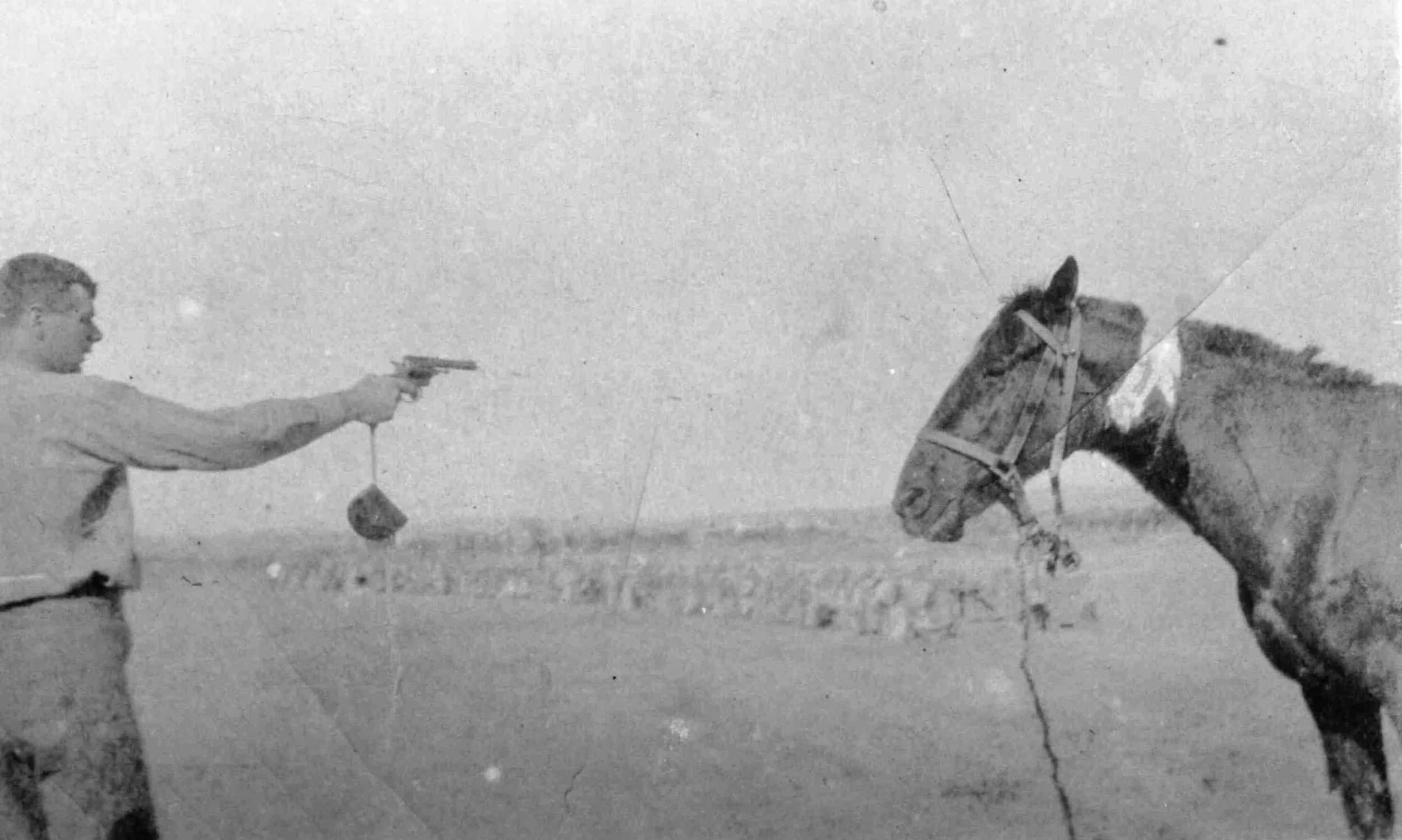 A New Zealand soldier shoots a wounded horse. National Army Museum of New Zealand.