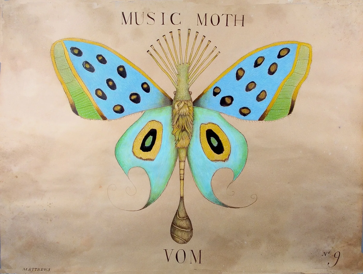 music moth.JPG