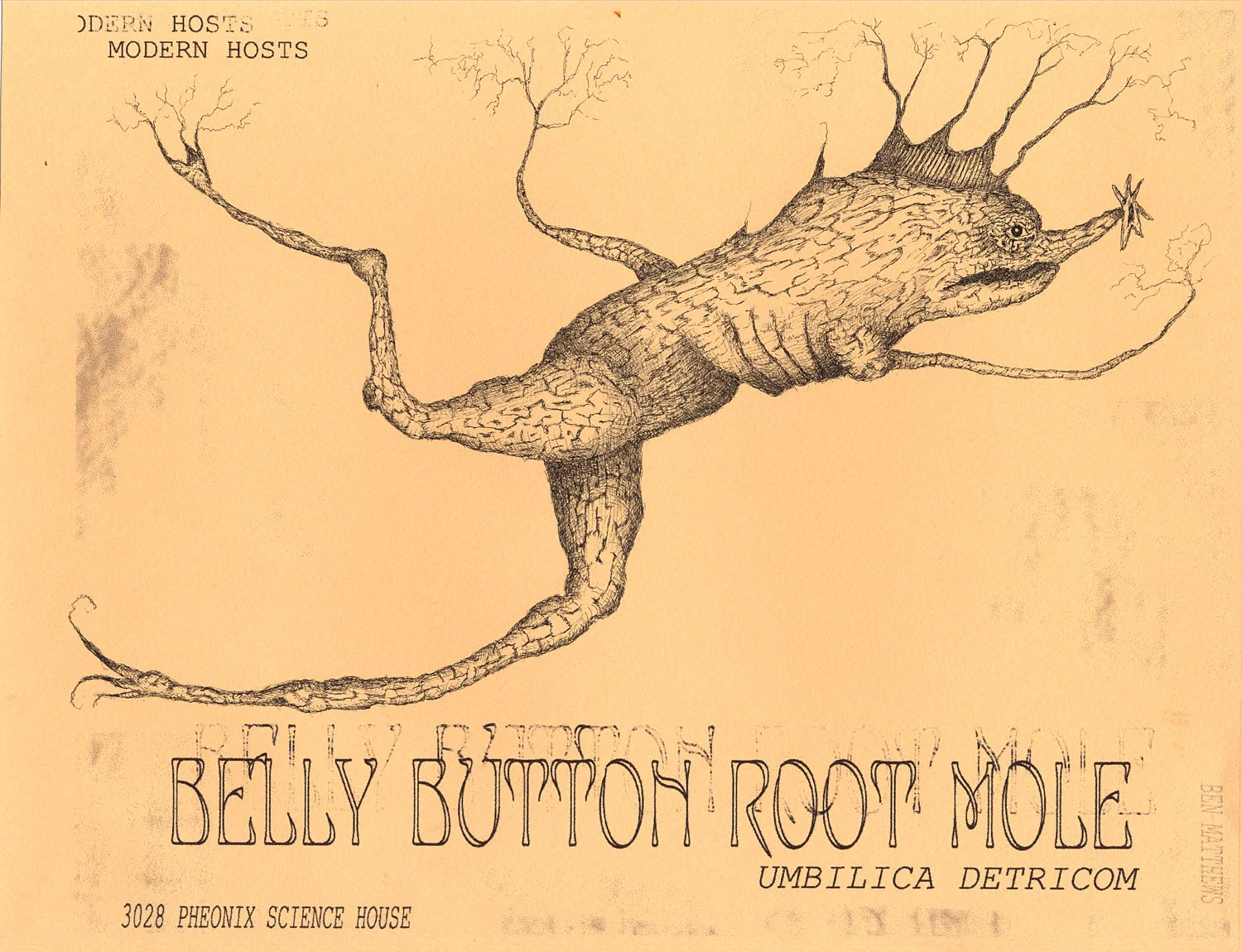 Belly Button Root Mole-2.jpg