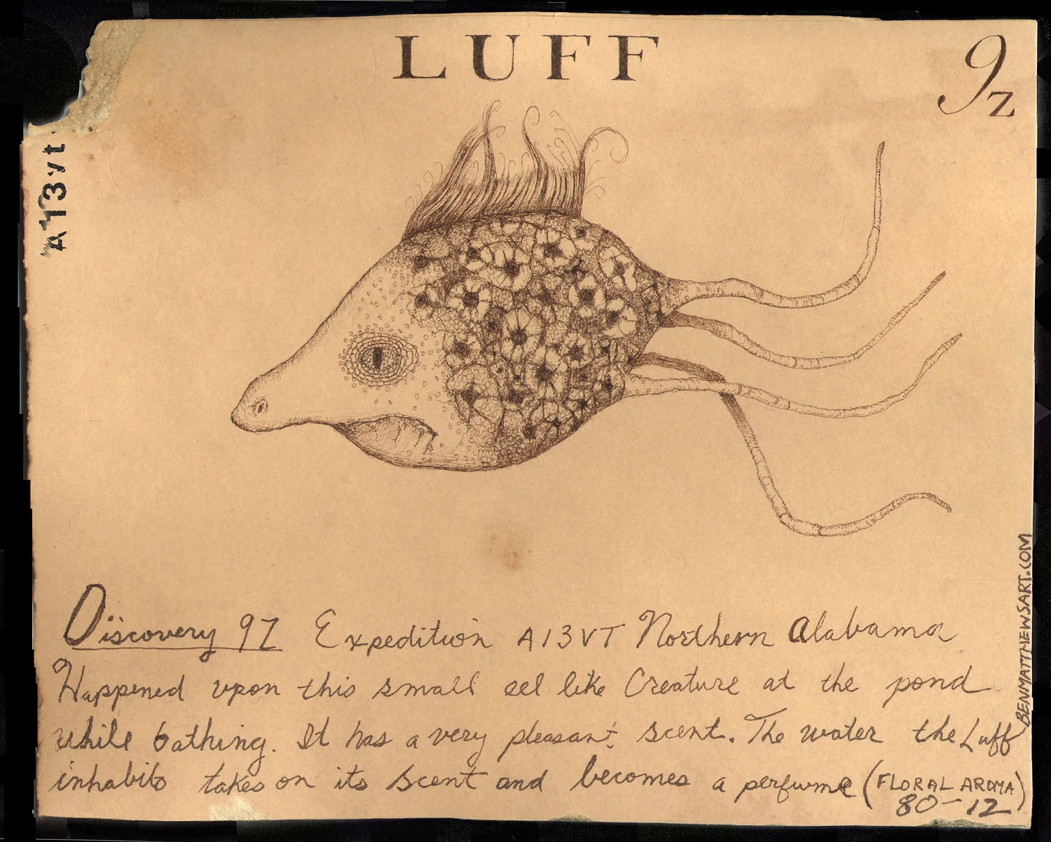 luff-2-2.jpg