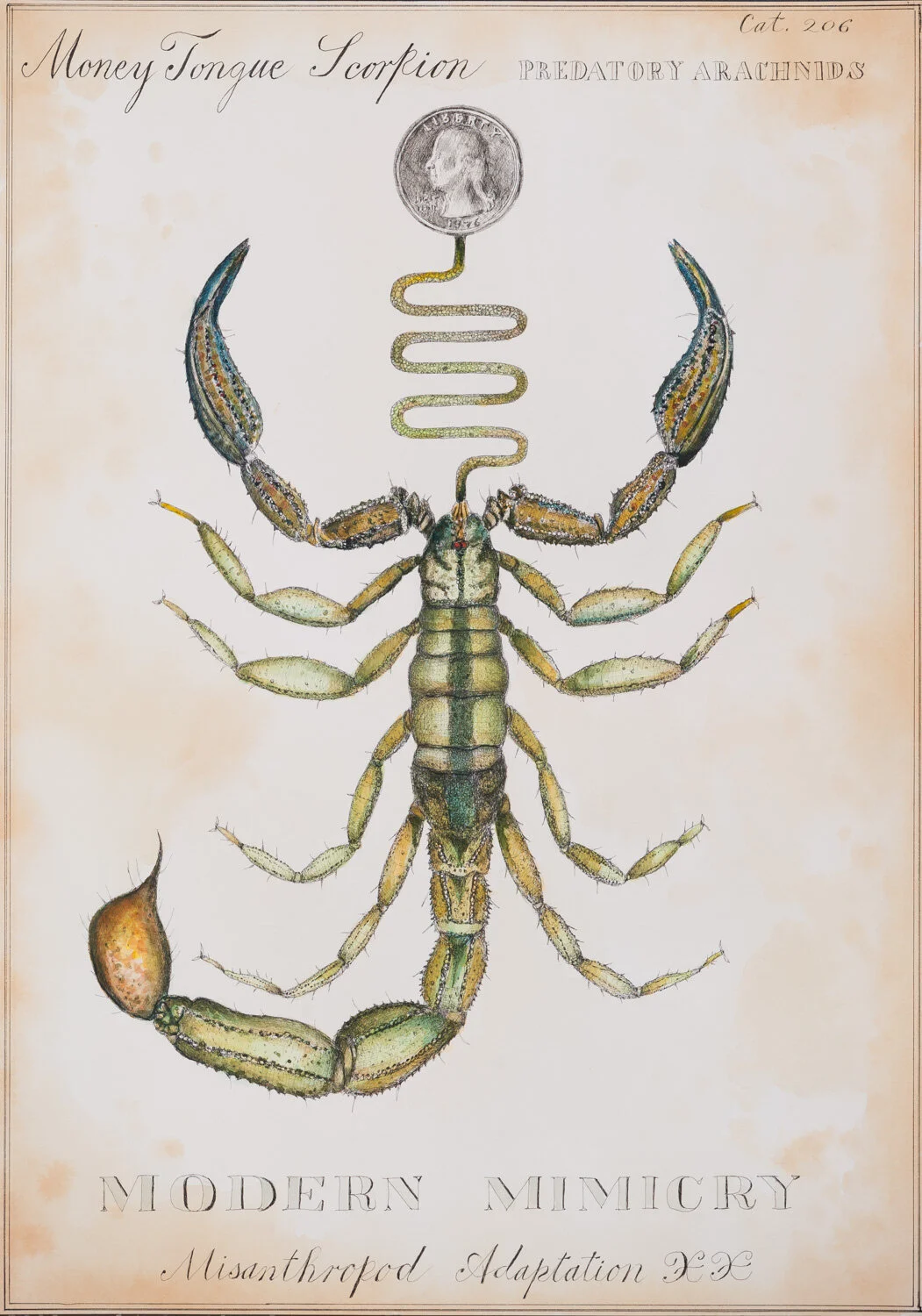 Money Tongue Scorpion