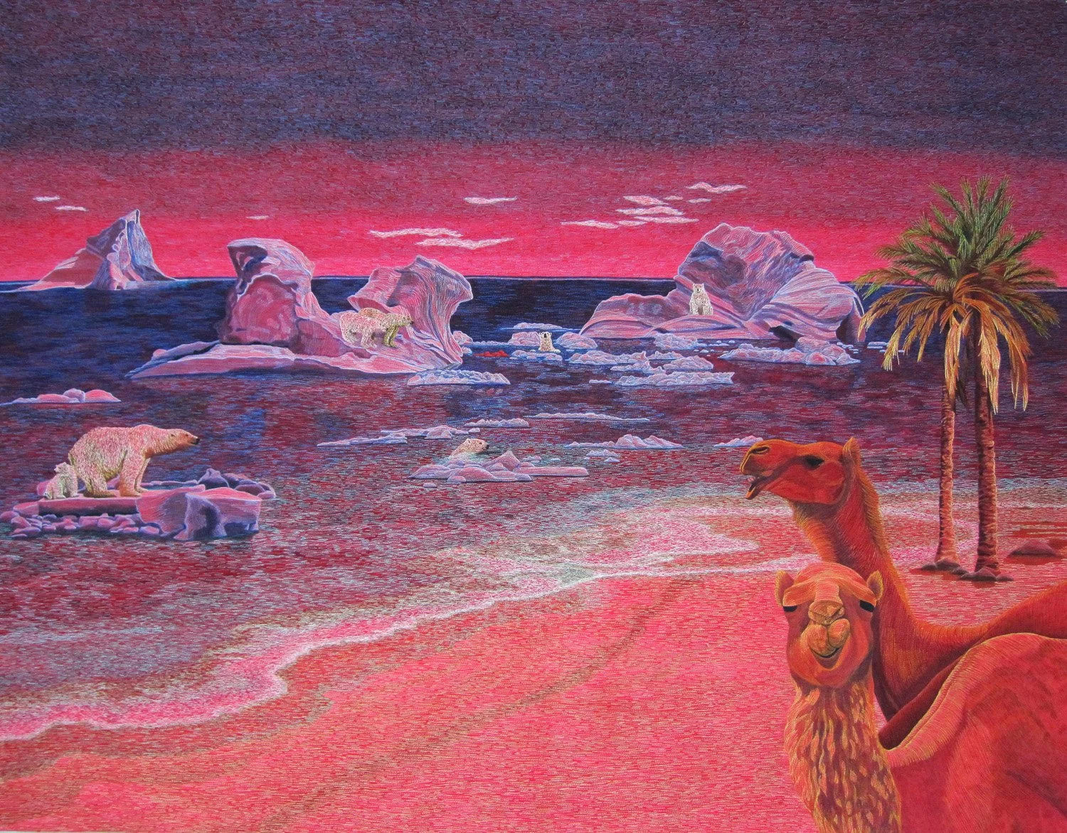 Displaced -1500px.jpg