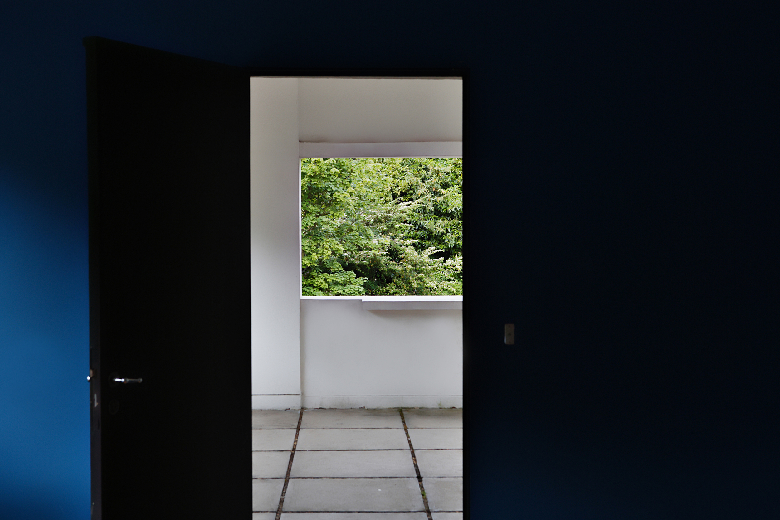 Nature: Framed, 2010