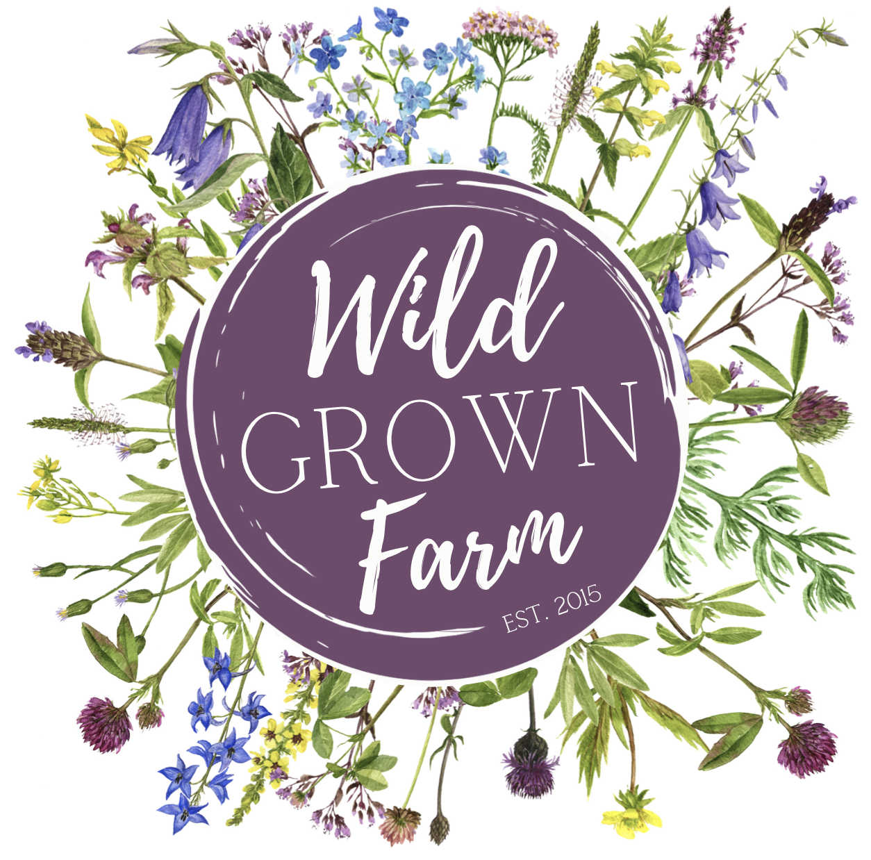 Wild Grown Farm 