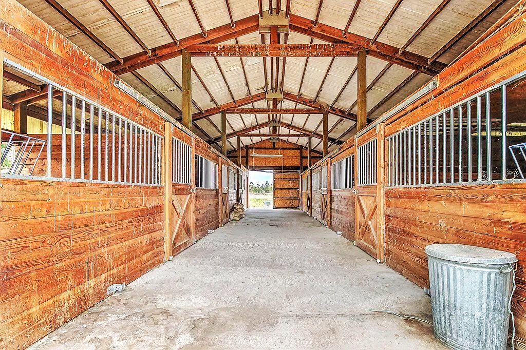 Our new barn, straight from a dream! Sure, there&rsquo;s shit everywhere (horse, bird, mice, you name it!) But with a little cleaning this space will be ready to go. It has 7 stalls and and an office space. It used to house Arabian horses but I have 