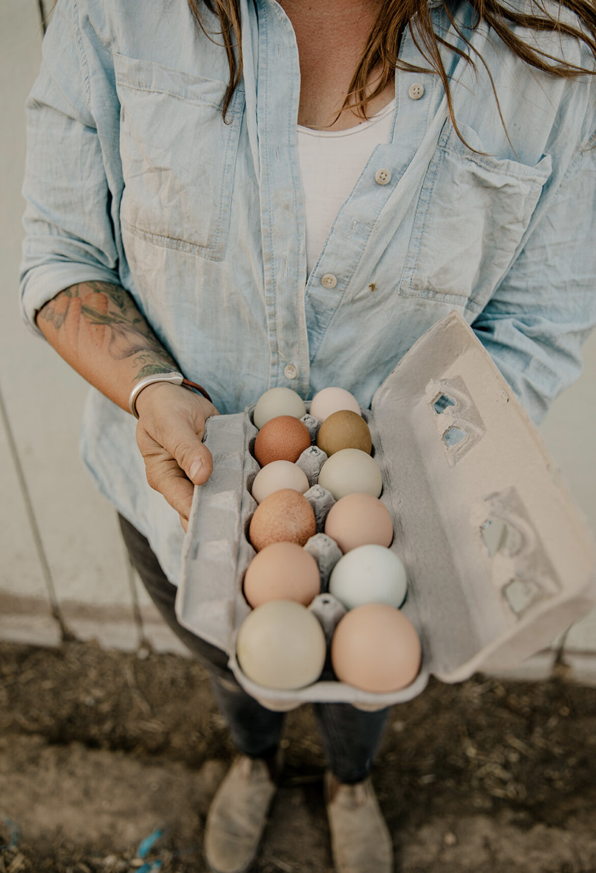 2025 Egg Share (SOLD OUT)