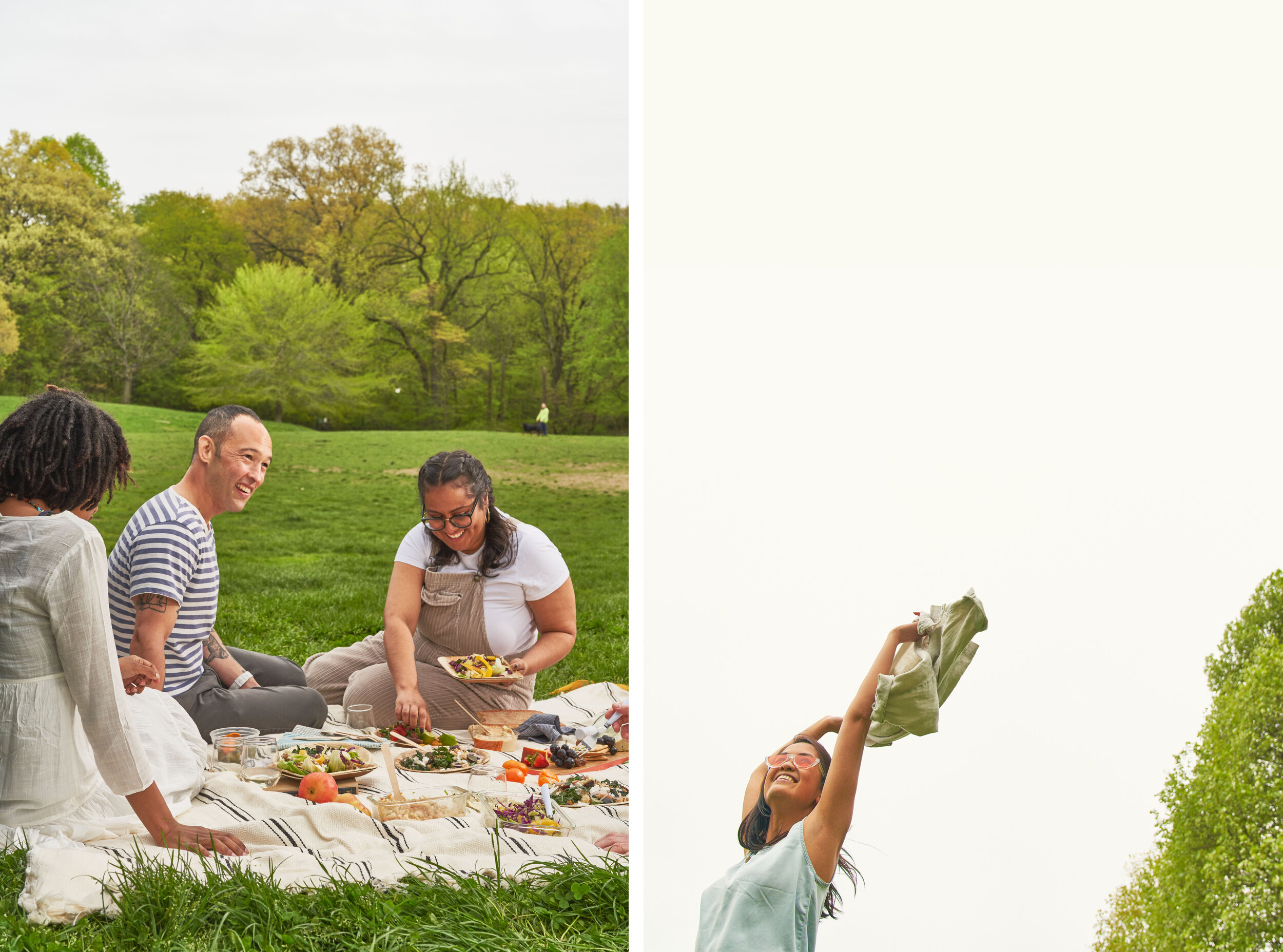 picnic.jpg
