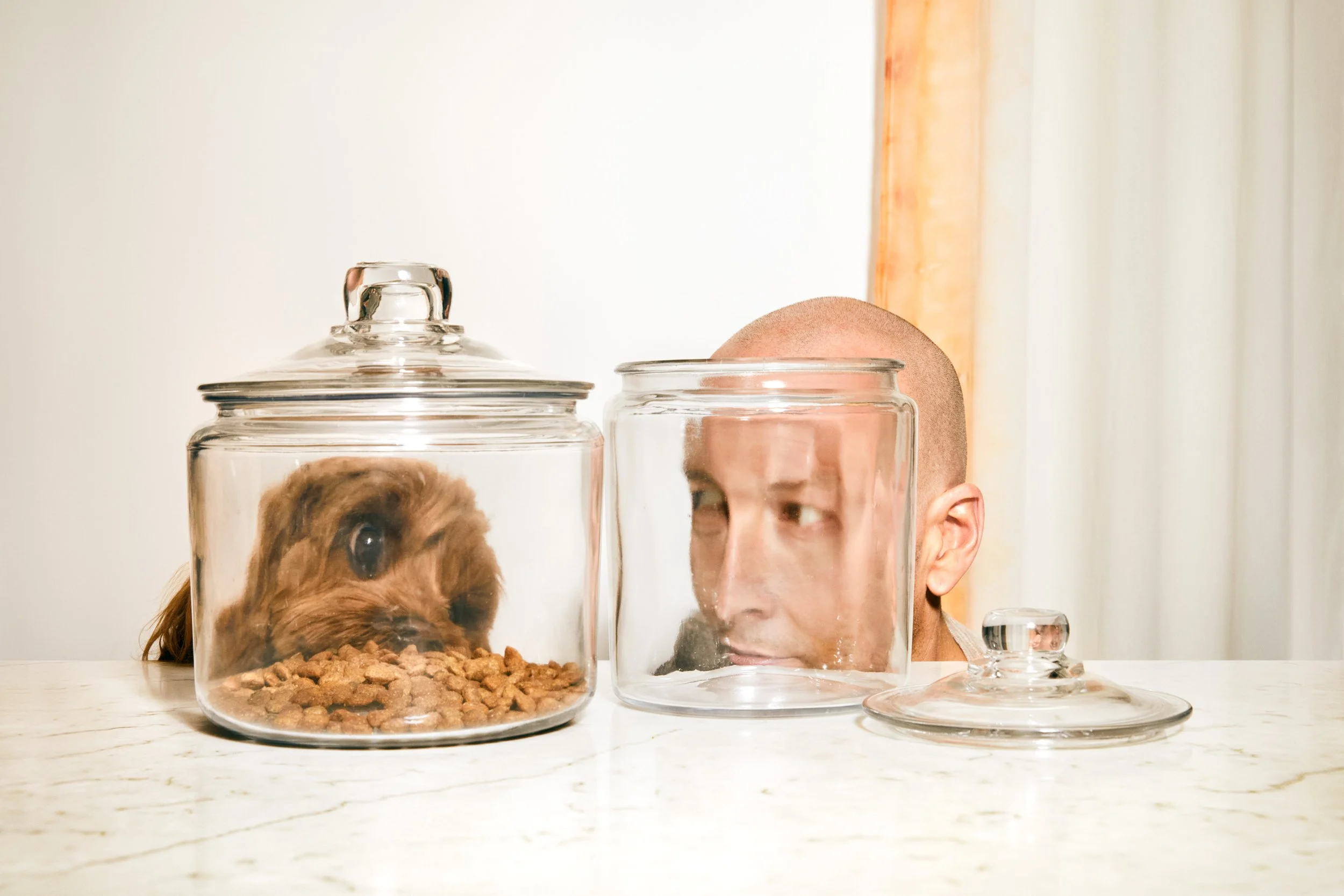 21-06 2089-14B OBESITY_DOG_03_266.JPG