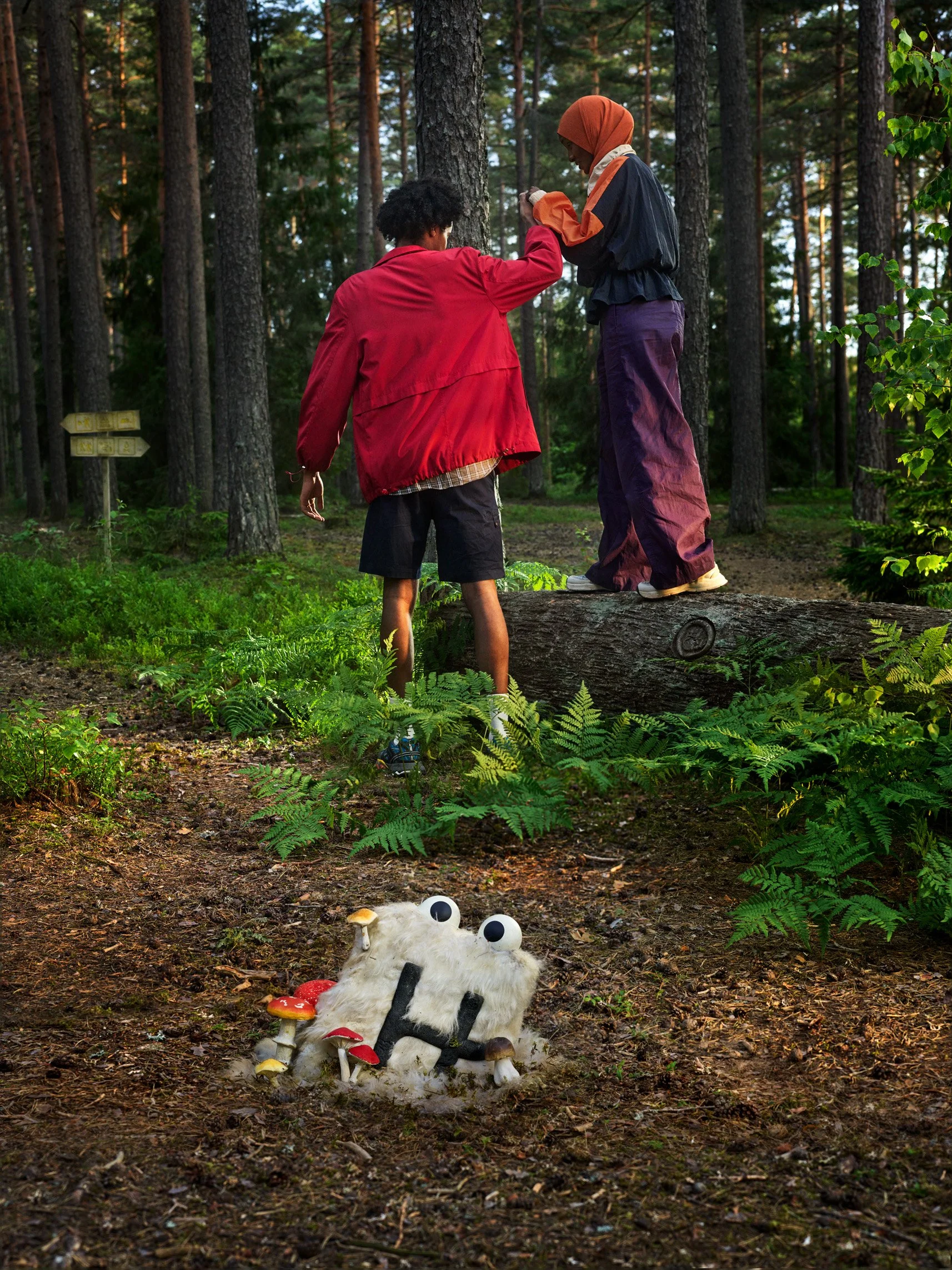 22-06 2361-02D RAN HINGE_SH12_HIKE_VERTICAL.JPG