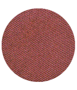 es489 xray.png