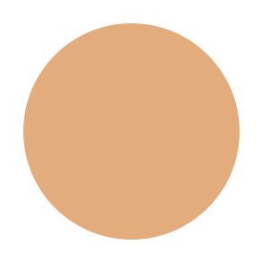 C6.png