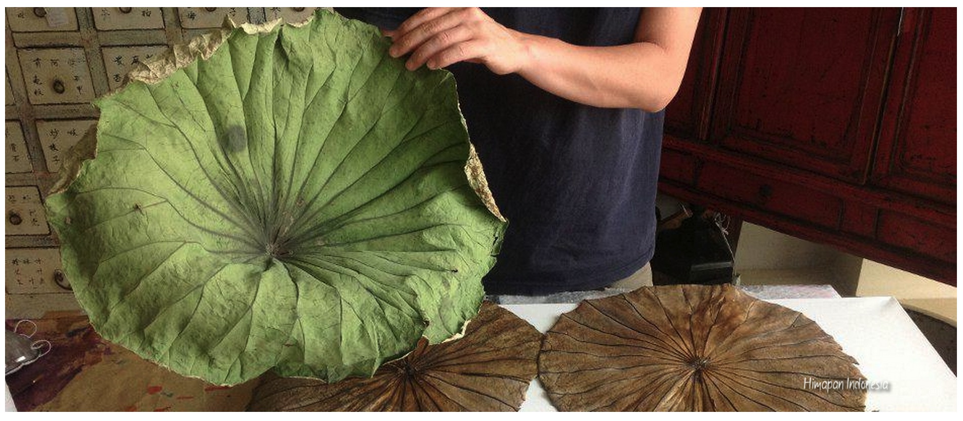 13. Select Leaf.jpg