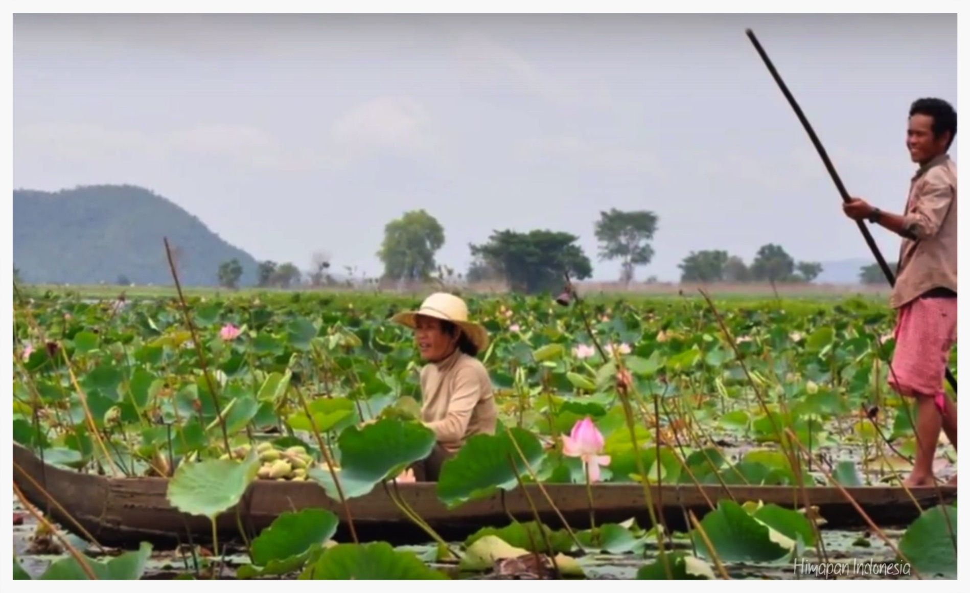10. Lotus Farm.jpg