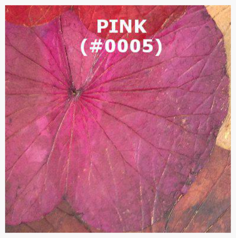 #0005 Pink.png