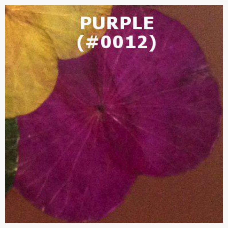 #0012 Purple.png