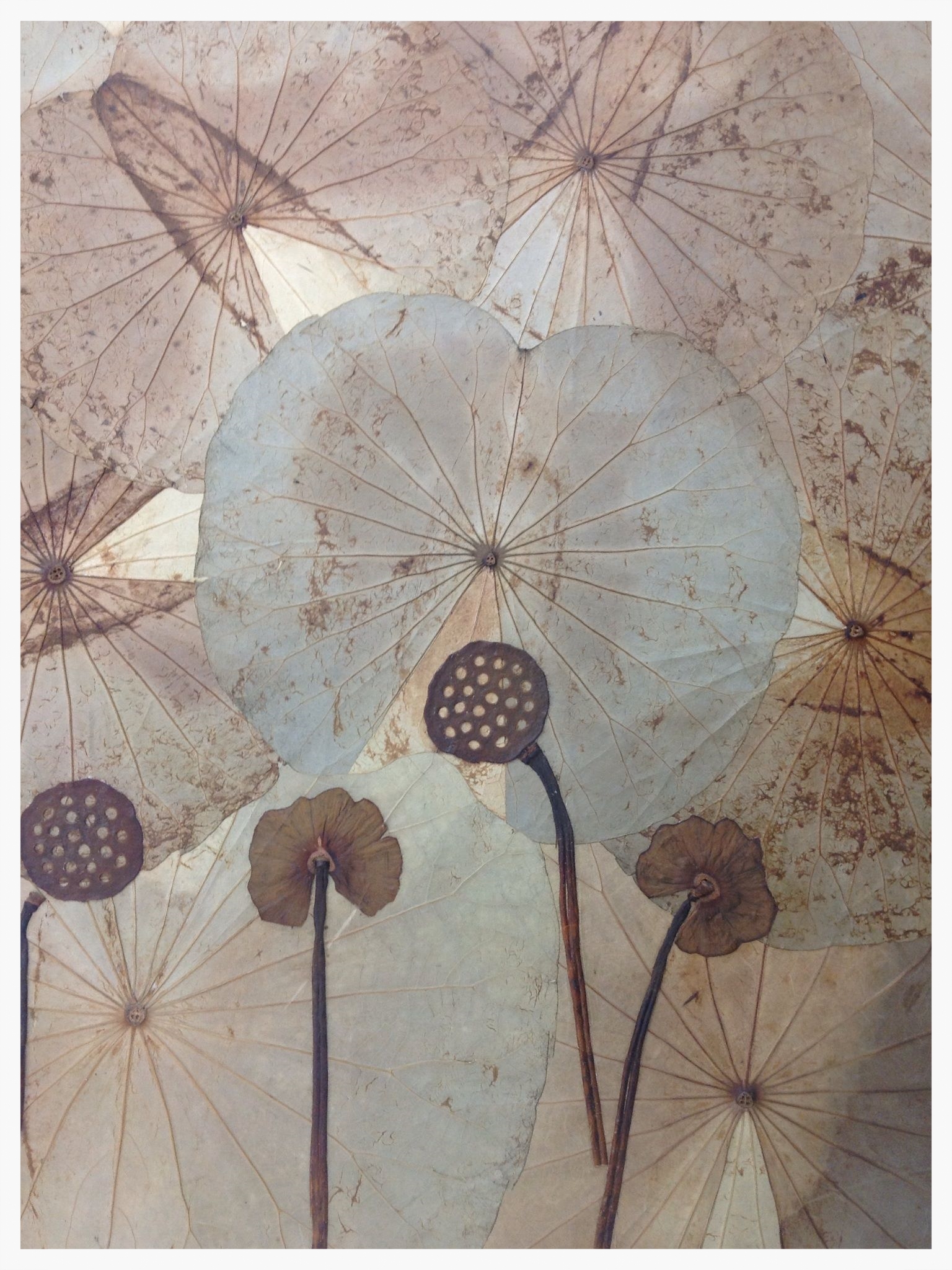 HI-NP001 Single with Lotus Stem.jpg