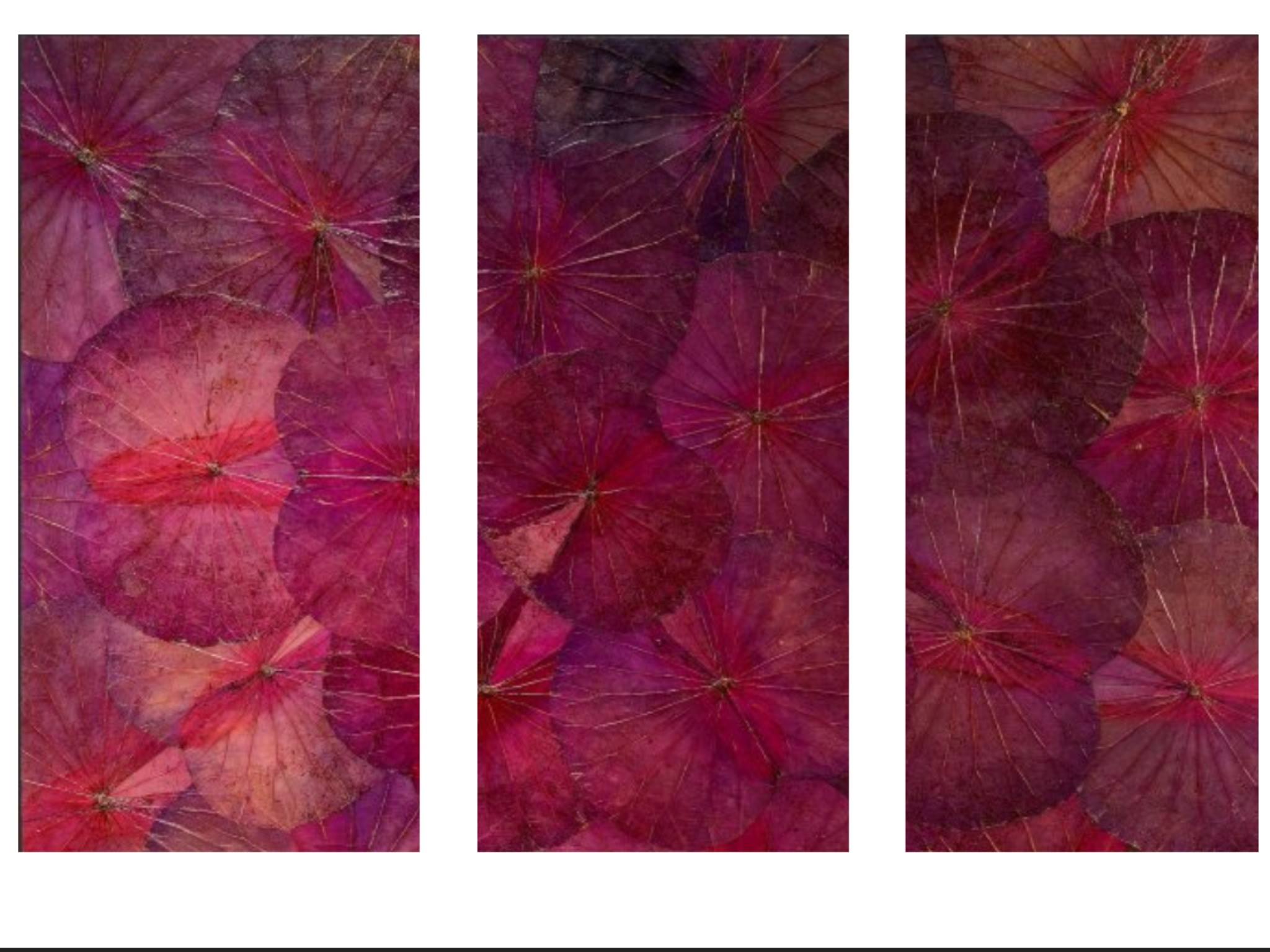 Purple (Triptych).jpg