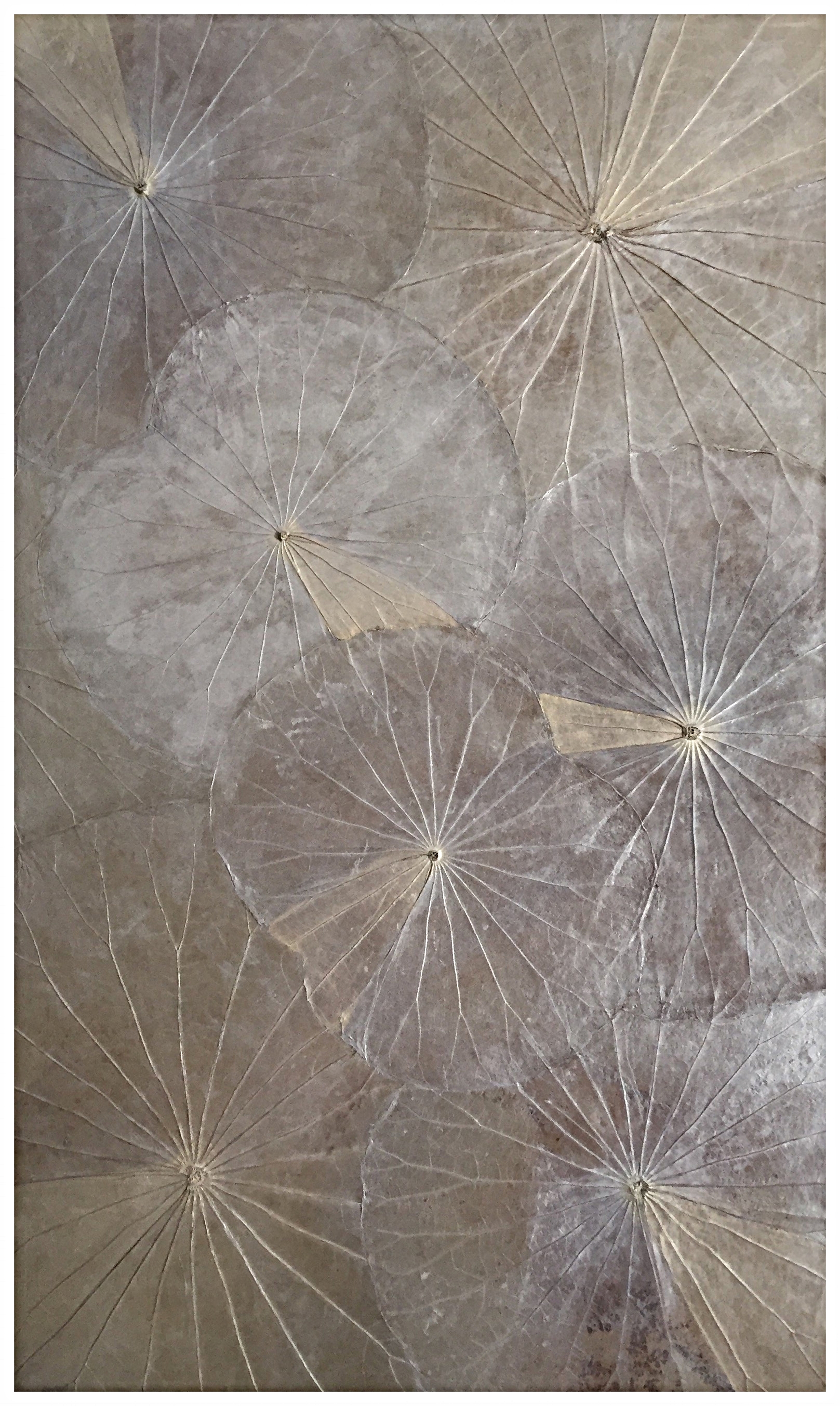 02 (Feb'16) Metallic Silver+Gold 60x100cm.jpeg