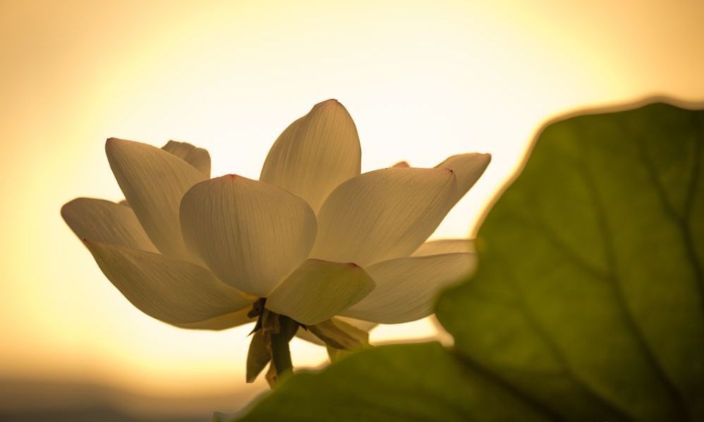 fQYSUbVfts-T7odkrFJckdiFeHvab0GWOfzhj7tYdC0uglagsDq6BJ9d0ofT-hm7475N9DLzsBmYee2zjdxATcdXRsZLXJ6lXFPEVZQX9UbfOZohA0cvvGe8jllxL5yQKkt8PF6jWWPPUuuVq8TwVhj9S8DpXKWNQ8w_oZSKlcPPIDqLJsIWCmZx4ZXBq9bInCNcNEX0aQIsQdLBpBSKaZBvYb4 copy.jpeg