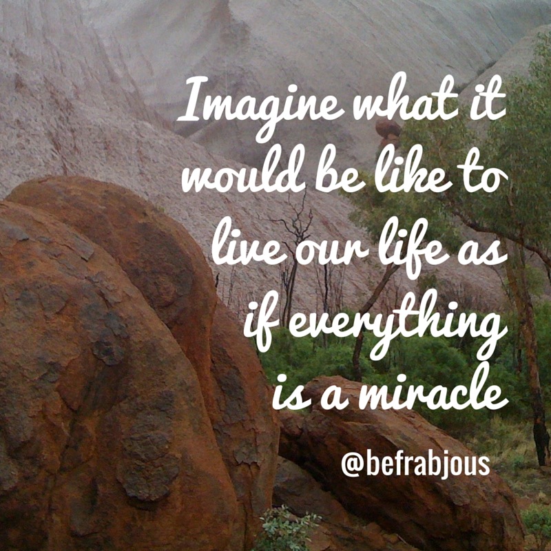 Do you see the miracle of life around you?