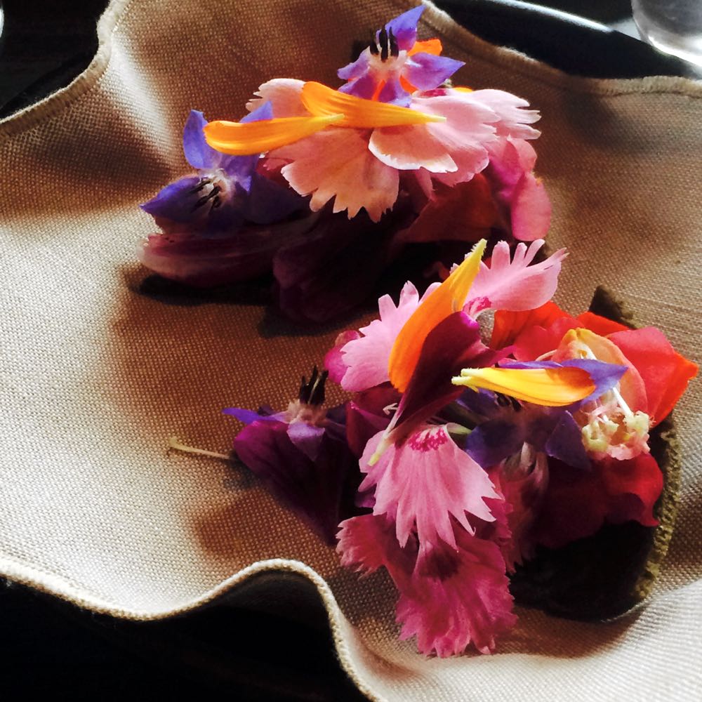 A Day at Noma - Copenhagen