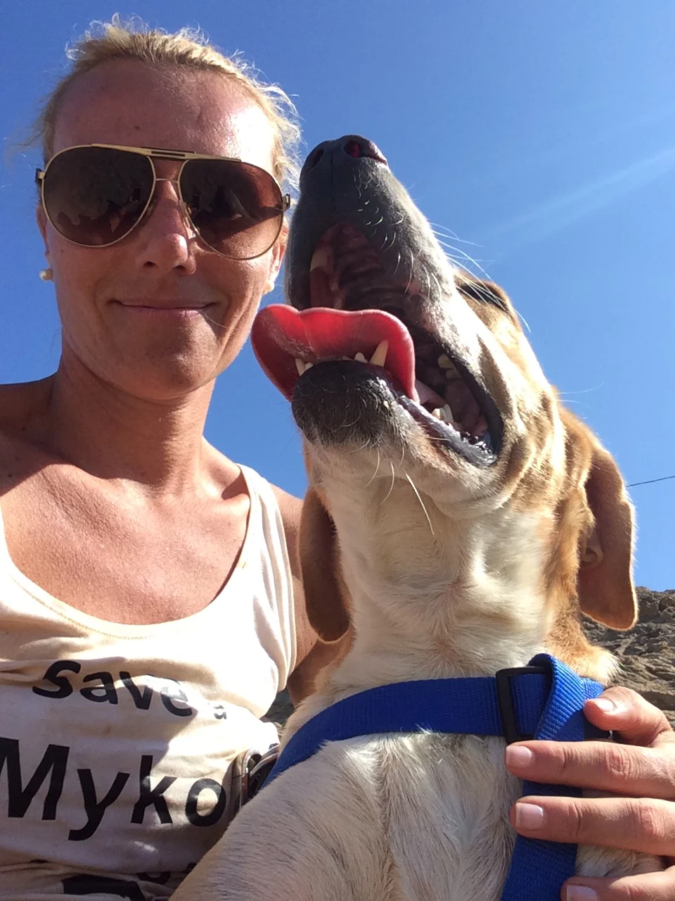 Coneli mix | Mykonos dog rescue and adoption