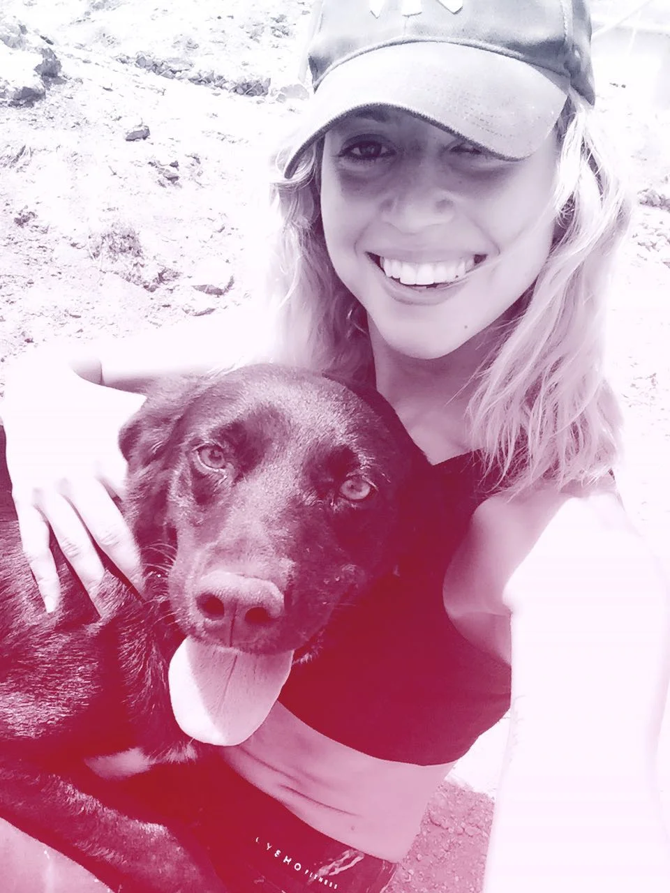 Nicolas mix | Mykonos dog rescue and adoption