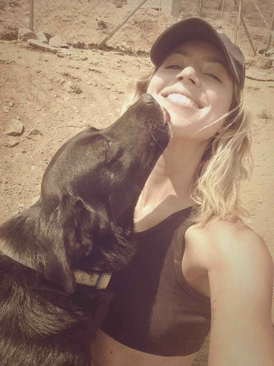 Nicolas mix | Mykonos dog rescue and adoption