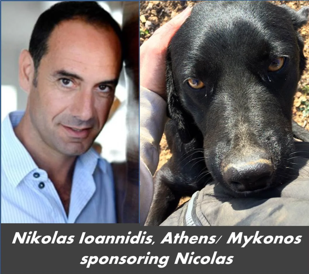 Nicolas Ioannidis Nicolas.jpg