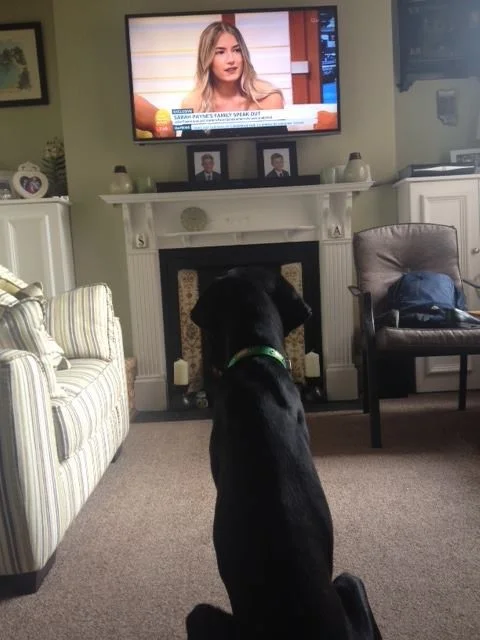 Perseus and TV 2.jpg