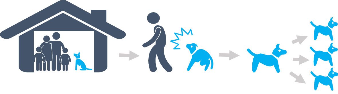 The problem today.png