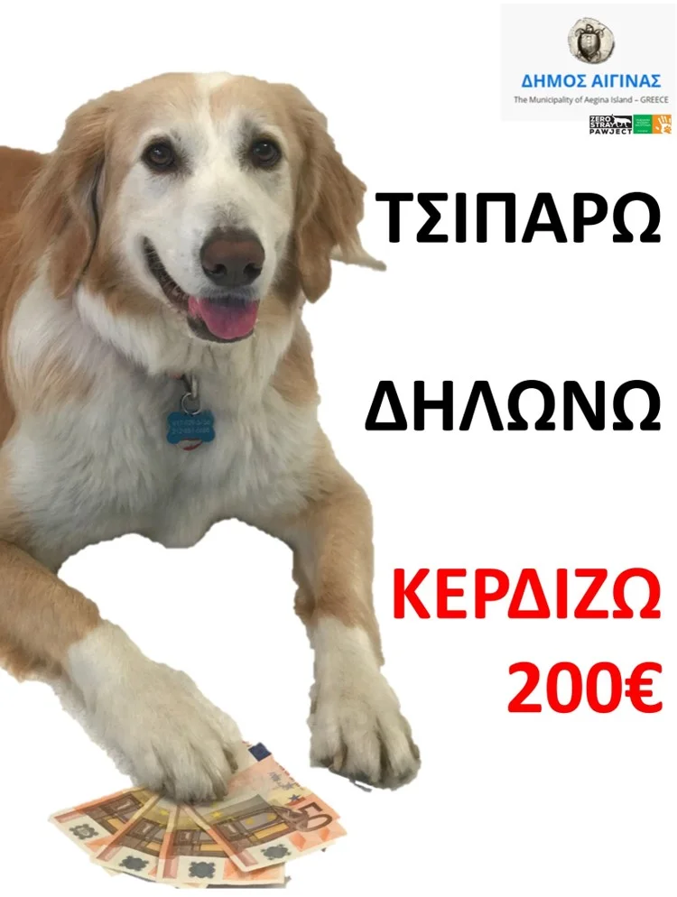 Picture for Microsite.jpg