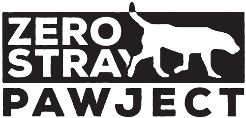 Zero Stray Pawject | Where social welfare meets animal welfare in Greece to achieve zero stray dogs